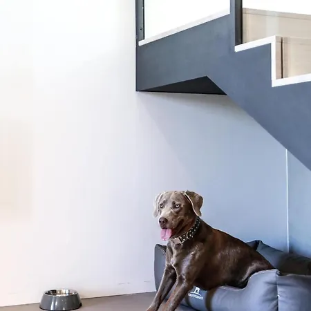 Exklusives Auf Fehmarn Schlagsdorf (Fehmarn)